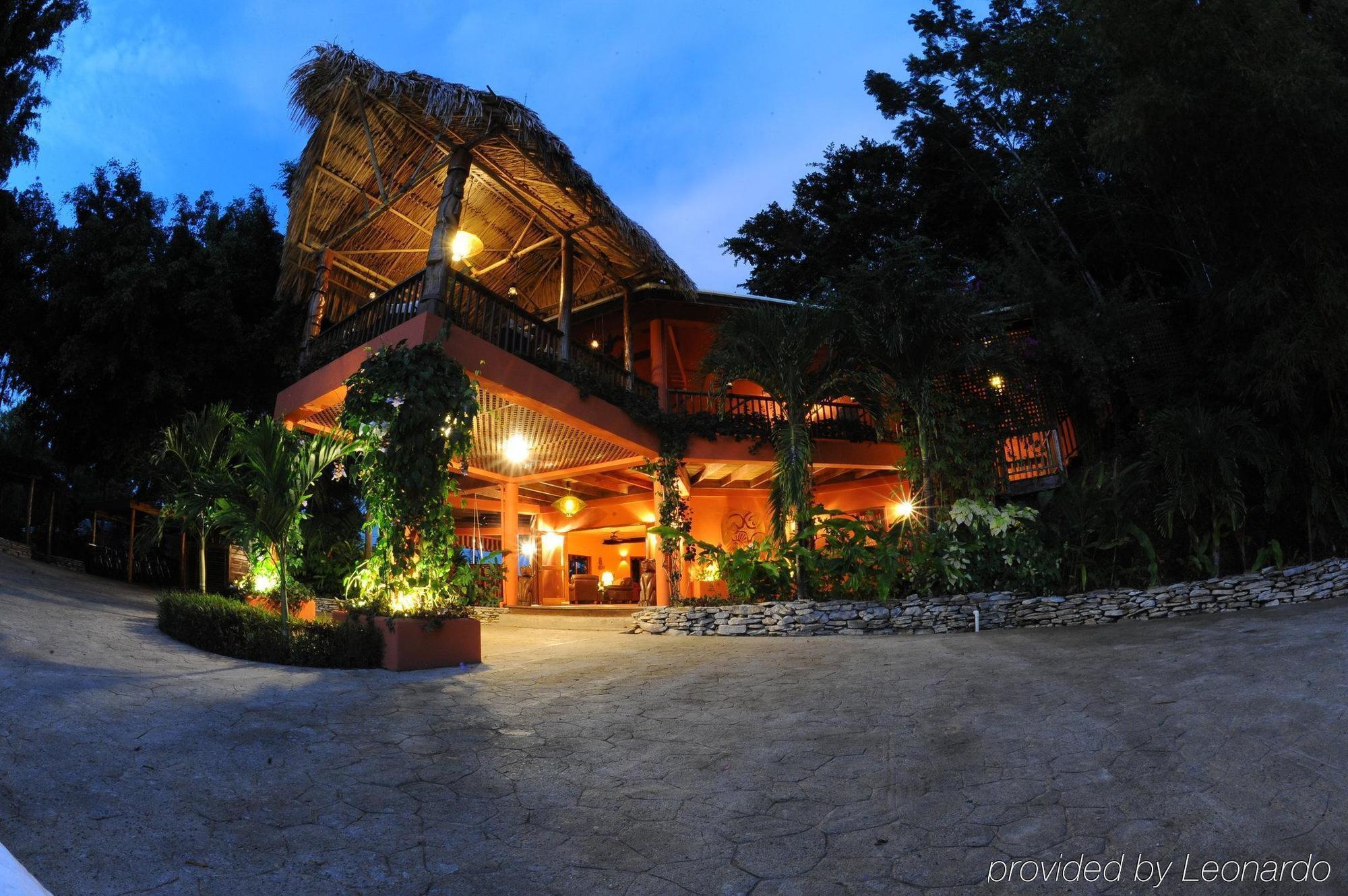Machaca Hill Rainforest Canopy Lodge Punta Gorda Εξωτερικό φωτογραφία
