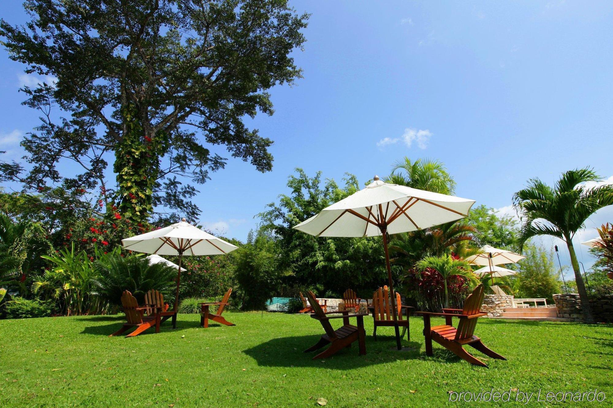 Machaca Hill Rainforest Canopy Lodge Punta Gorda Εξωτερικό φωτογραφία