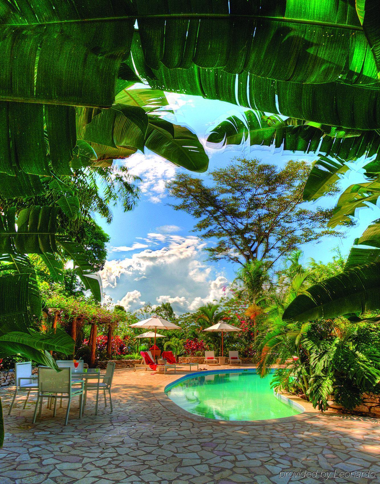 Machaca Hill Rainforest Canopy Lodge Punta Gorda Εξωτερικό φωτογραφία