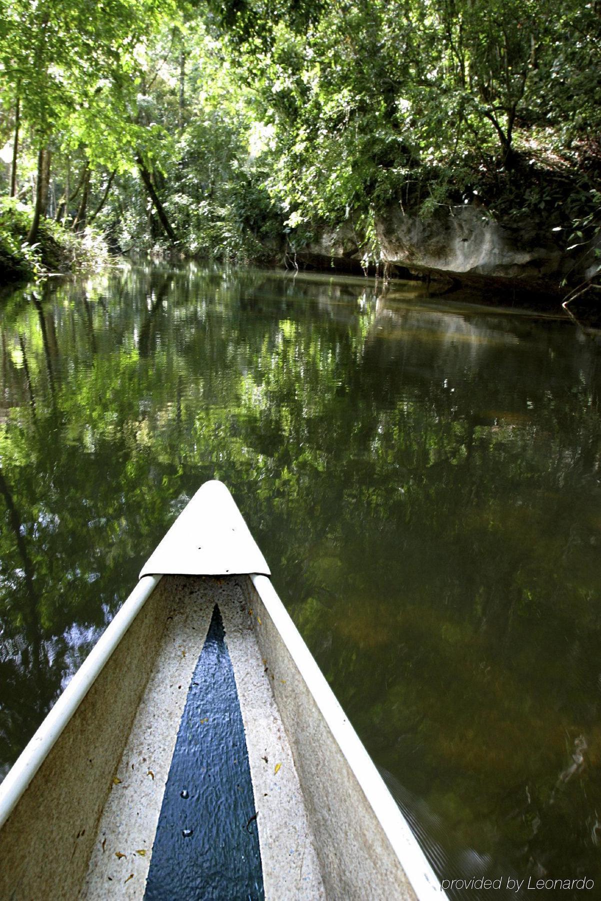 Machaca Hill Rainforest Canopy Lodge Punta Gorda Εξωτερικό φωτογραφία