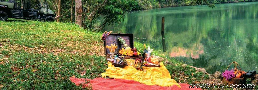 Machaca Hill Rainforest Canopy Lodge Punta Gorda Εξωτερικό φωτογραφία