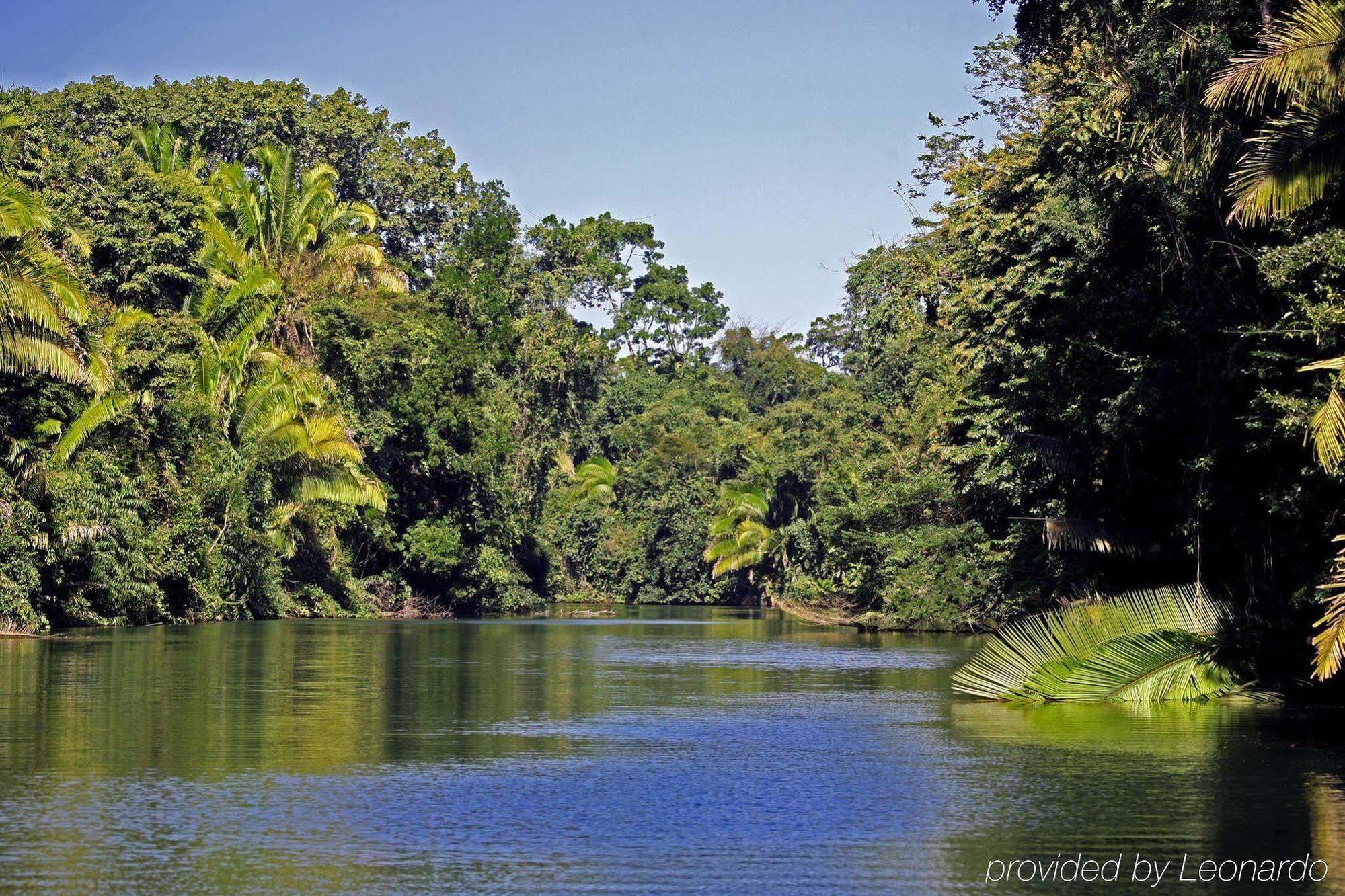 Machaca Hill Rainforest Canopy Lodge Punta Gorda Εξωτερικό φωτογραφία