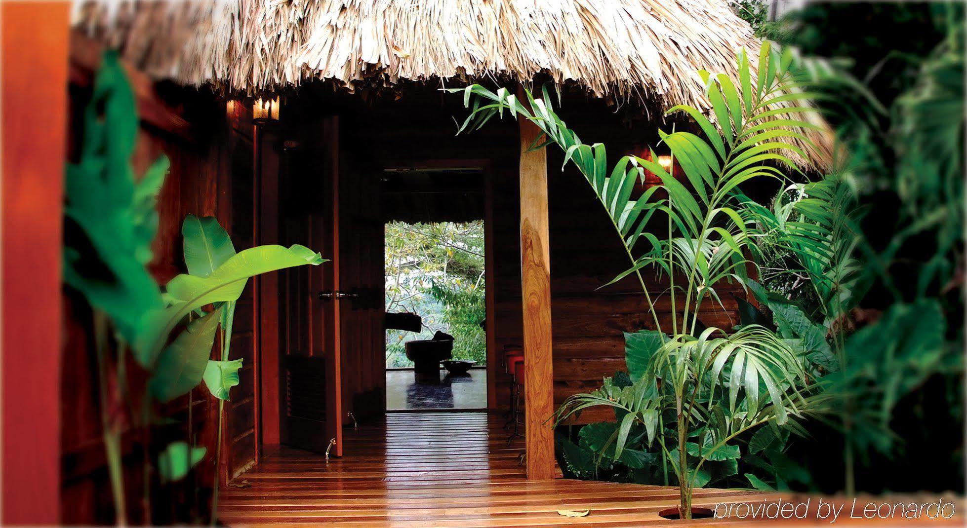 Machaca Hill Rainforest Canopy Lodge Punta Gorda Εξωτερικό φωτογραφία