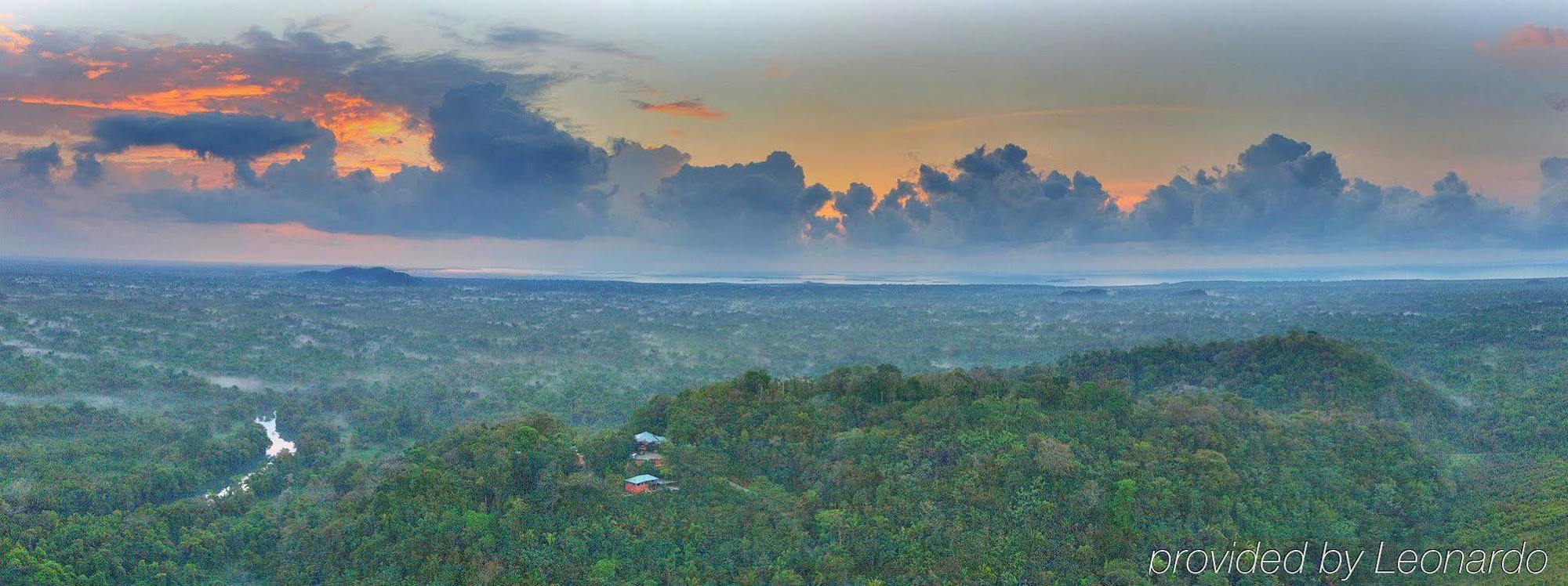 Machaca Hill Rainforest Canopy Lodge Punta Gorda Εξωτερικό φωτογραφία